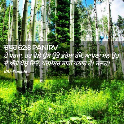 Picture 02 - ਜ਼ਬੂਰ 62:8 PANIRV - ਹੇ ਪਰਜਾ, ਹਰ ਵੇਲੇ ਉਸ - Bible Verse Picture