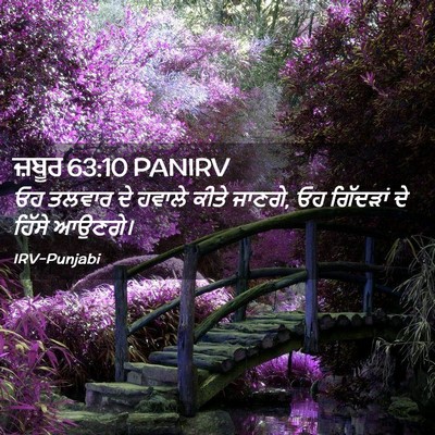 Picture 02 - ਜ਼ਬੂਰ 63:10 PANIRV - ਓਹ ਤਲਵਾਰ ਦੇ ਹਵਾਲੇ - Bible Verse Picture