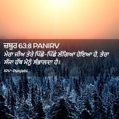 Picture 02 - ਜ਼ਬੂਰ 63:8 PANIRV - ਮੇਰਾ ਜੀਅ ਤੇਰੇ - Bible Verse Picture
