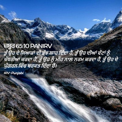 Picture 02 - ਜ਼ਬੂਰ 65:10 PANIRV - ਤੂੰ ਉਹ ਦੇ ਸਿਆੜਾਂ ਦੀ - Bible Verse Picture