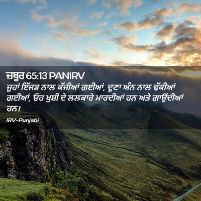 Picture 02 - ਜ਼ਬੂਰ 65:13 PANIRV - ਜੂਹਾਂ ਇੱਜੜ ਨਾਲ - Bible Verse Picture