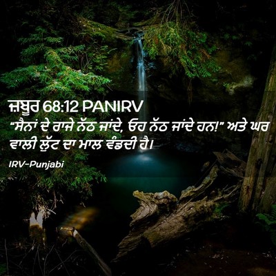 Picture 02 - ਜ਼ਬੂਰ 68:12 PANIRV - “ਸੈਨਾਂ ਦੇ ਰਾਜੇ ਨੱਠ - Bible Verse Picture