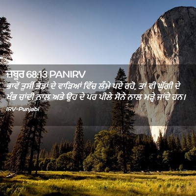 Picture 02 - ਜ਼ਬੂਰ 68:13 PANIRV - ਭਾਵੇਂ ਤੁਸੀਂ ਭੇਡਾਂ - Bible Verse Picture