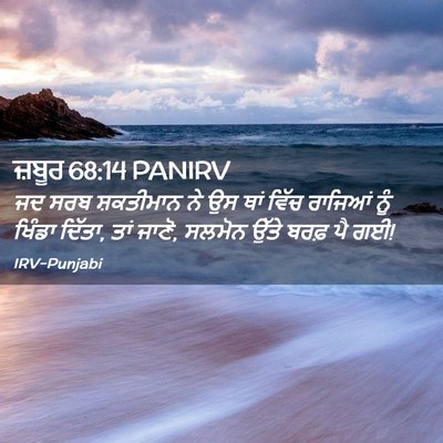 Picture 02 - ਜ਼ਬੂਰ 68:14 PANIRV - ਜਦ ਸਰਬ ਸ਼ਕਤੀਮਾਨ ਨੇ - Bible Verse Picture
