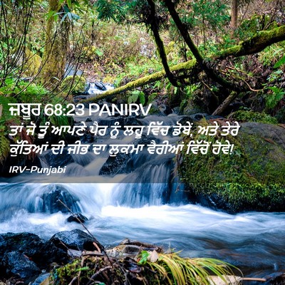Picture 02 - ਜ਼ਬੂਰ 68:23 PANIRV - ਤਾਂ ਜੋ ਤੂੰ ਆਪਣੇ ਪੈਰ - Bible Verse Picture