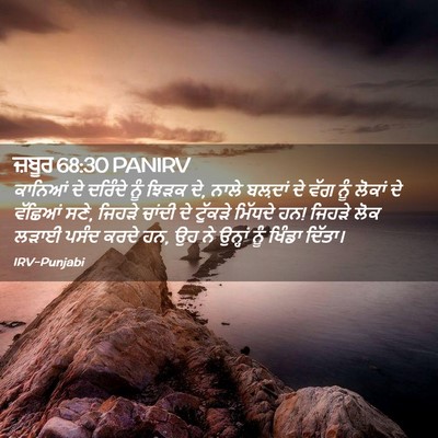 Picture 02 - ਜ਼ਬੂਰ 68:30 PANIRV - ਕਾਨਿਆਂ ਦੇ ਦਰਿੰਦੇ - Bible Verse Picture