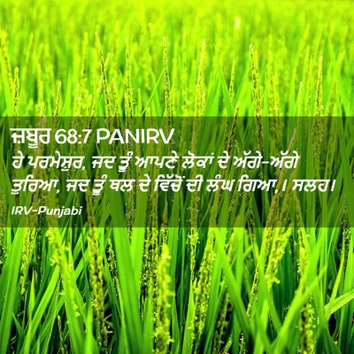 Picture 02 - ਜ਼ਬੂਰ 68:7 PANIRV - ਹੇ ਪਰਮੇਸ਼ੁਰ, ਜਦ ਤੂੰ - Bible Verse Picture