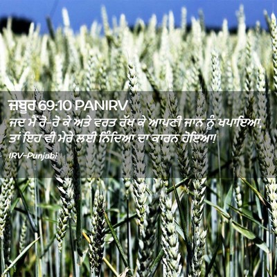 Picture 02 - ਜ਼ਬੂਰ 69:10 PANIRV - ਜਦ ਮੈਂ ਰੋ-ਰੋ ਕੇ ਅਤੇ - Bible Verse Picture