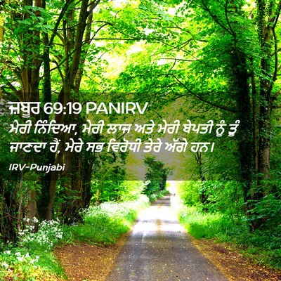 Picture 02 - ਜ਼ਬੂਰ 69:19 PANIRV - ਮੇਰੀ ਨਿੰਦਿਆ, ਮੇਰੀ - Bible Verse Picture