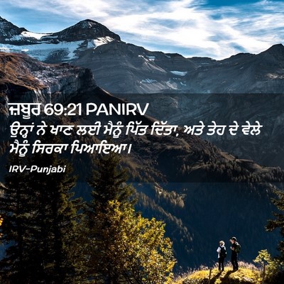 Picture 02 - ਜ਼ਬੂਰ 69:21 PANIRV - ਉਨ੍ਹਾਂ ਨੇ ਖਾਣ ਲਈ - Bible Verse Picture