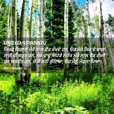 Picture 02 - ਜ਼ਬੂਰ 69:4 PANIRV - ਜਿਹੜੇ ਧਿਗਾਣੇ ਮੇਰੇ - Bible Verse Picture