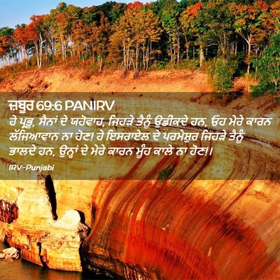 Picture 02 - ਜ਼ਬੂਰ 69:6 PANIRV - ਹੇ ਪ੍ਰਭੂ, ਸੈਨਾਂ ਦੇ - Bible Verse Picture