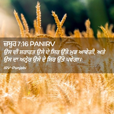 Picture 02 - ਜ਼ਬੂਰ 7:16 PANIRV - ਉਸ ਦੀ ਸ਼ਰਾਰਤ ਉਸੇ ਦੇ - Bible Verse Picture