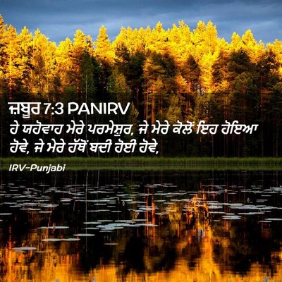 Picture 02 - ਜ਼ਬੂਰ 7:3 PANIRV - ਹੇ ਯਹੋਵਾਹ ਮੇਰੇ - Bible Verse Picture