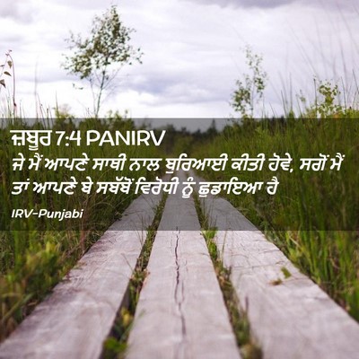 Picture 02 - ਜ਼ਬੂਰ 7:4 PANIRV - ਜੇ ਮੈਂ ਆਪਣੇ ਸਾਥੀ - Bible Verse Picture