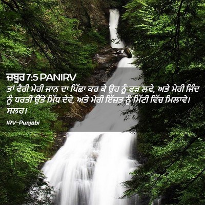 Picture 02 - ਜ਼ਬੂਰ 7:5 PANIRV - ਤਾਂ ਵੈਰੀ ਮੇਰੀ ਜਾਨ - Bible Verse Picture