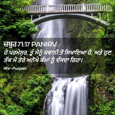 Picture 02 - ਜ਼ਬੂਰ 71:17 PANIRV - ਹੇ ਪਰਮੇਸ਼ੁਰ, ਤੂੰ - Bible Verse Picture