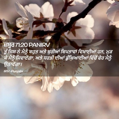 Picture 02 - ਜ਼ਬੂਰ 71:20 PANIRV - ਤੂੰ ਜਿਸ ਨੇ ਮੈਨੂੰ - Bible Verse Picture