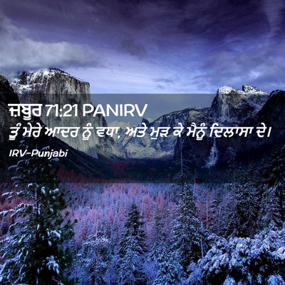 Picture 02 - ਜ਼ਬੂਰ 71:21 PANIRV - ਤੂੰ ਮੇਰੇ ਆਦਰ ਨੂੰ - Bible Verse Picture