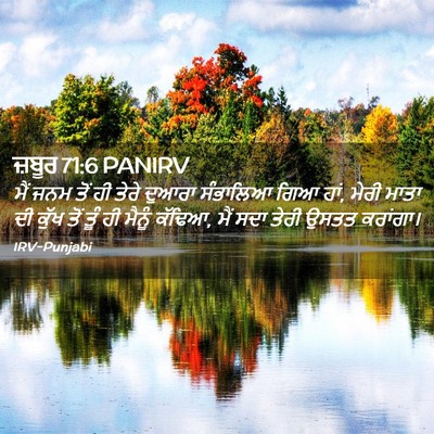 Picture 02 - ਜ਼ਬੂਰ 71:6 PANIRV - ਮੈਂ ਜਨਮ ਤੋਂ ਹੀ ਤੇਰੇ - Bible Verse Picture