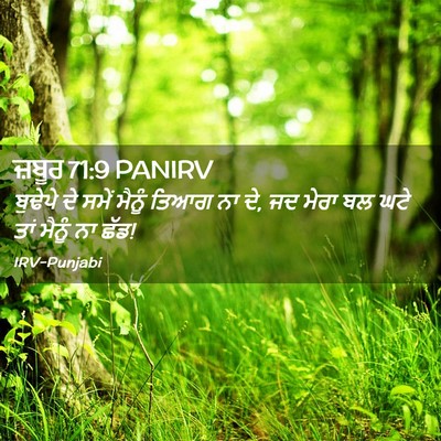 Picture 02 - ਜ਼ਬੂਰ 71:9 PANIRV - ਬੁਢੇਪੇ ਦੇ ਸਮੇਂ - Bible Verse Picture