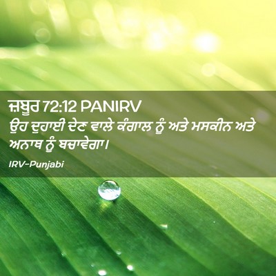 Picture 02 - ਜ਼ਬੂਰ 72:12 PANIRV - ਉਹ ਦੁਹਾਈ ਦੇਣ ਵਾਲੇ - Bible Verse Picture