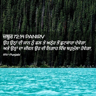 Picture 02 - ਜ਼ਬੂਰ 72:14 PANIRV - ਉਹ ਉਨ੍ਹਾਂ ਦੀ ਜਾਨ - Bible Verse Picture