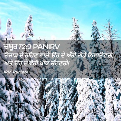 Picture 02 - ਜ਼ਬੂਰ 72:9 PANIRV - ਉਜਾੜ ਦੇ ਰਹਿਣ ਵਾਲੇ - Bible Verse Picture
