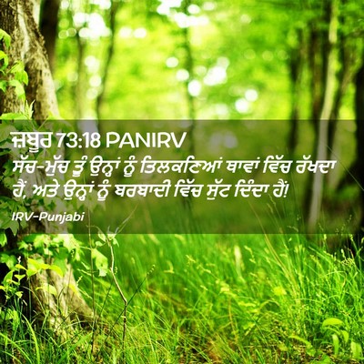 Picture 02 - ਜ਼ਬੂਰ 73:18 PANIRV - ਸੱਚ-ਮੁੱਚ ਤੂੰ - Bible Verse Picture