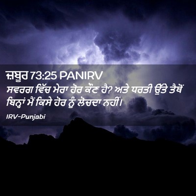 Picture 02 - ਜ਼ਬੂਰ 73:25 PANIRV - ਸਵਰਗ ਵਿੱਚ ਮੇਰਾ ਹੋਰ - Bible Verse Picture