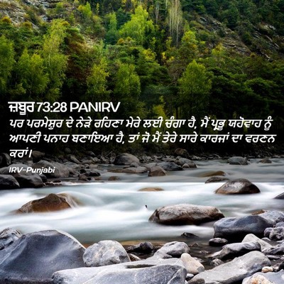 Picture 02 - ਜ਼ਬੂਰ 73:28 PANIRV - ਪਰ ਪਰਮੇਸ਼ੁਰ ਦੇ - Bible Verse Picture