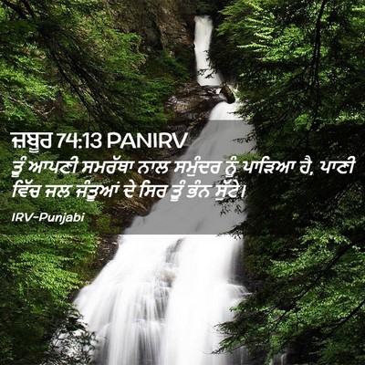 Picture 02 - ਜ਼ਬੂਰ 74:13 PANIRV - ਤੂੰ ਆਪਣੀ ਸਮਰੱਥਾ - Bible Verse Picture