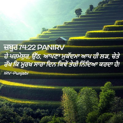 Picture 02 - ਜ਼ਬੂਰ 74:22 PANIRV - ਹੇ ਪਰਮੇਸ਼ੁਰ, ਉੱਠ, - Bible Verse Picture