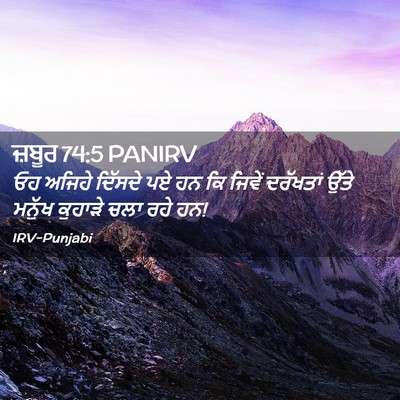 Picture 02 - ਜ਼ਬੂਰ 74:5 PANIRV - ਓਹ ਅਜਿਹੇ ਦਿੱਸਦੇ ਪਏ - Bible Verse Picture