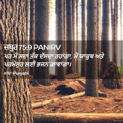 Picture 02 - ਜ਼ਬੂਰ 75:9 PANIRV - ਪਰ ਮੈਂ ਸਦਾ ਤੱਕ - Bible Verse Picture
