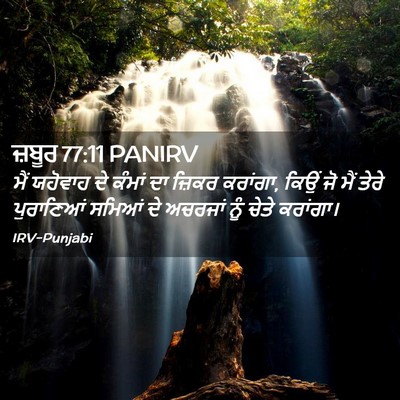 Picture 02 - ਜ਼ਬੂਰ 77:11 PANIRV - ਮੈਂ ਯਹੋਵਾਹ ਦੇ - Bible Verse Picture