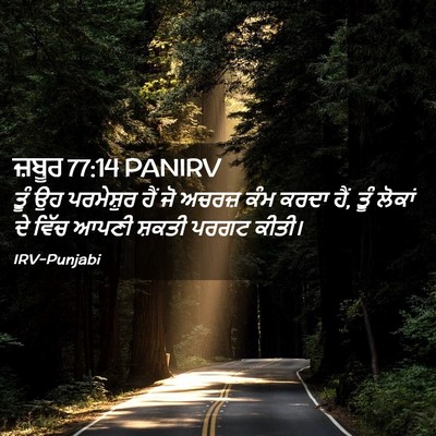 Picture 02 - ਜ਼ਬੂਰ 77:14 PANIRV - ਤੂੰ ਉਹ ਪਰਮੇਸ਼ੁਰ - Bible Verse Picture