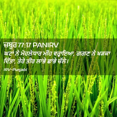 Picture 02 - ਜ਼ਬੂਰ 77:17 PANIRV - ਘਟਾਂ ਨੇ ਮੋਹਲੇਧਾਰ - Bible Verse Picture