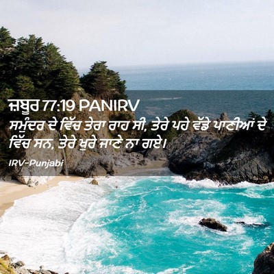 Picture 02 - ਜ਼ਬੂਰ 77:19 PANIRV - ਸਮੁੰਦਰ ਦੇ ਵਿੱਚ - Bible Verse Picture
