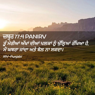 Picture 02 - ਜ਼ਬੂਰ 77:4 PANIRV - ਤੂੰ ਮੇਰੀਆਂ ਅੱਖਾਂ - Bible Verse Picture