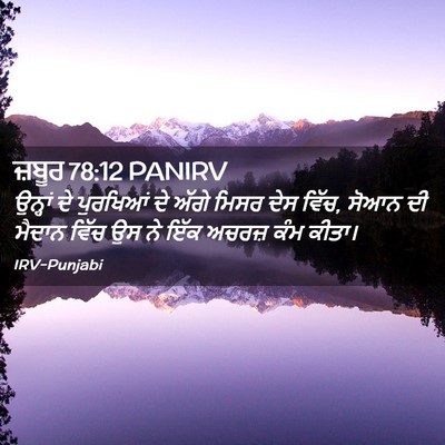 Picture 02 - ਜ਼ਬੂਰ 78:12 PANIRV - ਉਨ੍ਹਾਂ ਦੇ ਪੁਰਖਿਆਂ - Bible Verse Picture