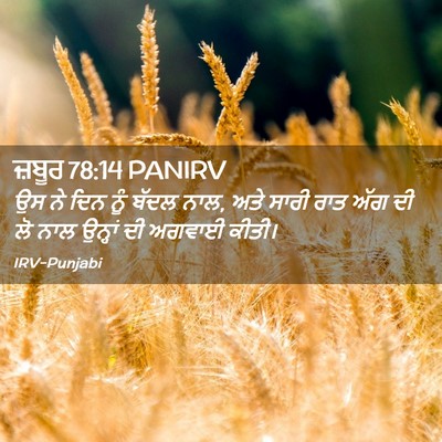Picture 02 - ਜ਼ਬੂਰ 78:14 PANIRV - ਉਸ ਨੇ ਦਿਨ ਨੂੰ ਬੱਦਲ - Bible Verse Picture