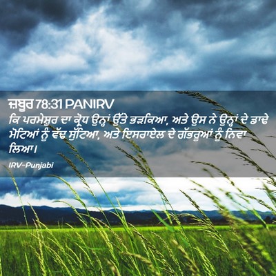 Picture 02 - ਜ਼ਬੂਰ 78:31 PANIRV - ਕਿ ਪਰਮੇਸ਼ੁਰ ਦਾ - Bible Verse Picture