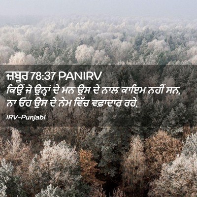 Picture 02 - ਜ਼ਬੂਰ 78:37 PANIRV - ਕਿਉਂ ਜੋ ਉਨ੍ਹਾਂ ਦੇ - Bible Verse Picture