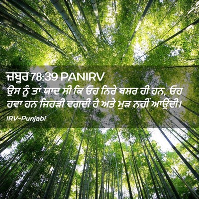 Picture 02 - ਜ਼ਬੂਰ 78:39 PANIRV - ਉਸ ਨੂੰ ਤਾਂ ਯਾਦ ਸੀ - Bible Verse Picture