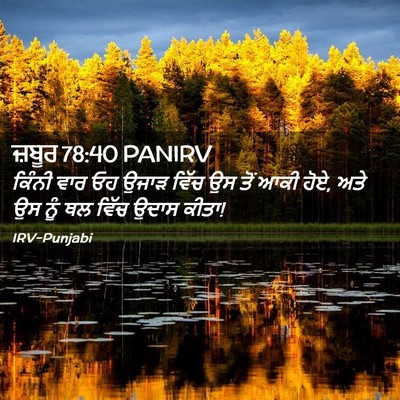 Picture 02 - ਜ਼ਬੂਰ 78:40 PANIRV - ਕਿੰਨੀ ਵਾਰ ਓਹ ਉਜਾੜ - Bible Verse Picture