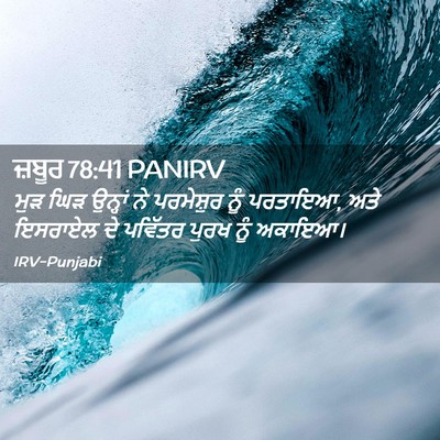 Picture 02 - ਜ਼ਬੂਰ 78:41 PANIRV - ਮੁੜ ਘਿੜ ਉਨ੍ਹਾਂ ਨੇ - Bible Verse Picture