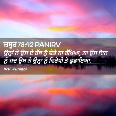 Picture 02 - ਜ਼ਬੂਰ 78:42 PANIRV - ਉਨ੍ਹਾਂ ਨੇ ਉਸ ਦੇ ਹੱਥ - Bible Verse Picture