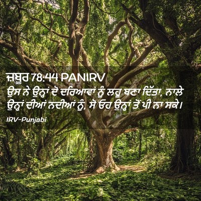 Picture 02 - ਜ਼ਬੂਰ 78:44 PANIRV - ਉਸ ਨੇ ਉਨ੍ਹਾਂ ਦੋ - Bible Verse Picture