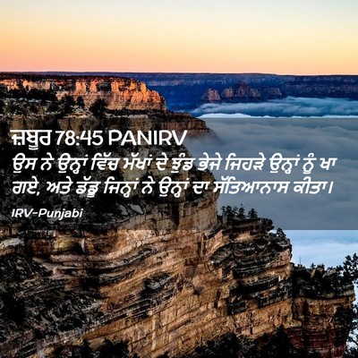 Picture 02 - ਜ਼ਬੂਰ 78:45 PANIRV - ਉਸ ਨੇ ਉਨ੍ਹਾਂ ਵਿੱਚ - Bible Verse Picture